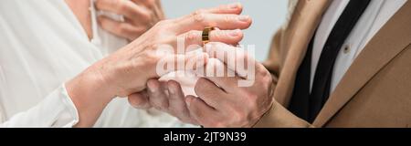 Beschnittene Ansicht des Bräutigams mit goldenem Verlobungsring am Finger der Braut in weißem Kleid isoliert auf grauem Banner, Stockbild Stockfoto