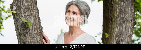 Fröhliche Frau mittleren Alters in weißem Kleid berühren Baumstamm im Park, Banner, Stock Bild Stockfoto