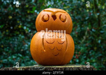 Sheffield, Großbritannien - 31. Oktober 2019: Geschnitzter Kürbis oder Jack o Laterne auf dem Eccleshall Woods Halloween Trail Stockfoto