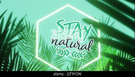 Bild von Stay Natural Text und Logo in weißem Sechseck, mit Palmblättern auf aquablauem Hintergrund Stockfoto