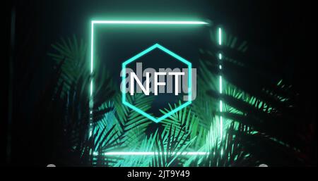 Bild von nft-Symbol und Quadrat in blauem Neon, über Palmblättern auf schwarzem Hintergrund Stockfoto