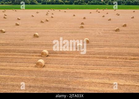 Runde Ballen auf einem geernteten Feld nach der Heuernte im Sommer, Deutschland Stockfoto