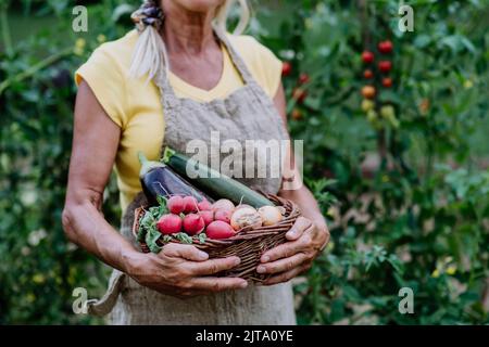 Nahaufnahme einer älteren Farmerin, die Korb mit Herbsternte aus ihrem Garten hält. Stockfoto