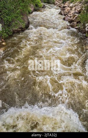 Shell Creek Stromschnellen, Shell Canyon, Bighorn Mountains, Bighorn National Forest, Wyoming, USA Stockfoto