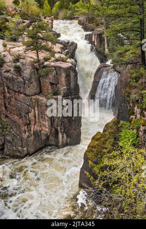 Shell Falls, Shell Canyon, Bighorn Mountains, Bighorn National Forest, Wyoming, USA Stockfoto