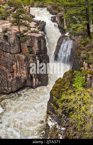 Shell Falls, Shell Canyon, Bighorn Mountains, Bighorn National Forest, Wyoming, USA Stockfoto
