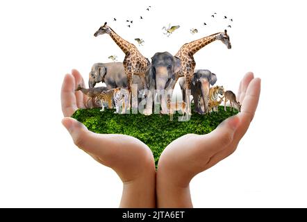 World Animal Day World Wildlife Day Gruppen von wilden Tieren wurden in den Händen der Menschen versammelt Stockfoto