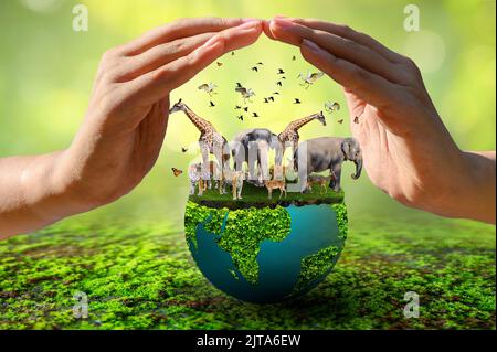 World Animal Day World Wildlife Day Gruppen von wilden Tieren wurden in den Händen der Menschen versammelt Stockfoto