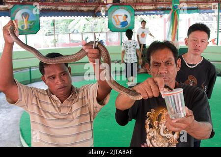 Thailand, Bangkok. Die Schlangenfarm Thonburi liegt an einem der Kanäle und bietet eine Schlangenschau für Touristen und gleichzeitig einen kleinen Zoo mit kleinen Anis Stockfoto