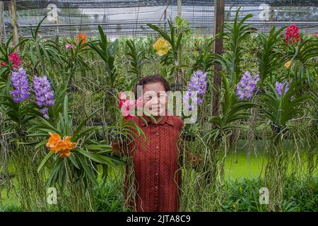 Thailand, Bangkok. Orchideenfarm auf einem der Kanäle von Bangkok. Die Blumen stehen für den Verkauf an die Touristen und die jungen Sämlinge sind für den Export. Stockfoto