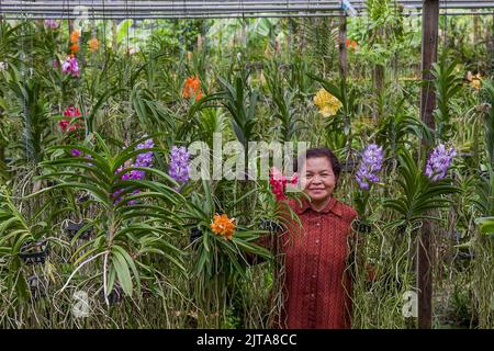 Thailand, Bangkok. Orchideenfarm auf einem der Kanäle von Bangkok. Die Blumen stehen für den Verkauf an die Touristen und die jungen Sämlinge sind für den Export. Stockfoto