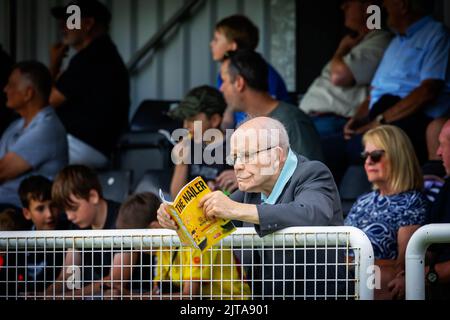 Reifer Herr lehnt sich an die Schranke und liest das Programm bei einem Fußballspiel in Belper Town vor Stockfoto