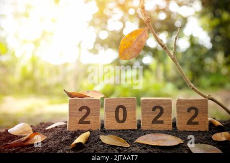 Auf Wiedersehen Jahr 2022 und Herbst- oder Herbstjahreskonzept. Holzblöcke mit natürlichem Hintergrund und gelbem Blatt bei Sonnenuntergang. Stockfoto