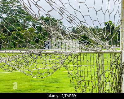 Blick durch das Netz eines Fußballtals auf einen großen Fußballplatz mit einer grünen Wiese, dem Tor gegenüber und Bäumen. Sport, Mannschaftssport Stockfoto