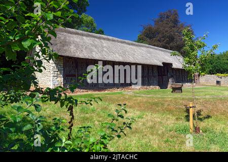 Fachwerk reetgedeckten Scheune aus 1550, National History Museum, St Fagans, Cardiff, Südwales, UK. Stockfoto