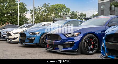 FERNDALE, MI/USA - 20. AUGUST 2022: Fünf Ford Shelby GT500 Autos in der Mustang Alley auf der Woodward Dream Cruise Route. Stockfoto