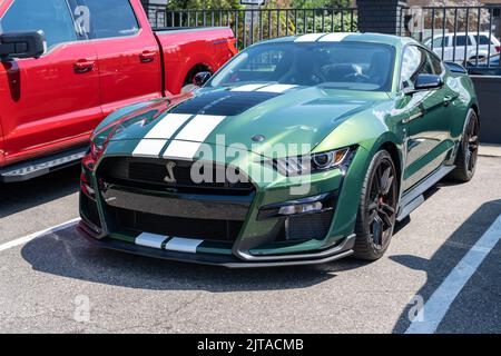 ROYAL OAK, MI/USA - 19. AUGUST 2022: Ein Ford Shelby GT500 2022 auf der Ford-Ausstellung auf der Woodward Dream Cruise Route. Stockfoto