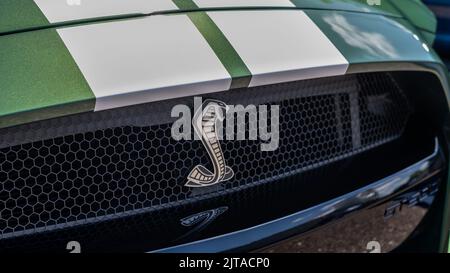 ROYAL OAK, MI/USA - 19. AUGUST 2022: Nahaufnahme eines 2022 Ford Shelby GT500 Kühlergrills auf der Woodward Dream Cruise Route. Stockfoto