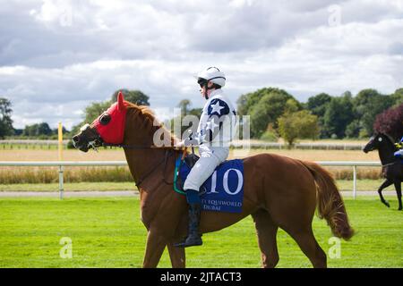 Jockey Callum Shepherd bei „Never Just A Dream at York Races“. Stockfoto