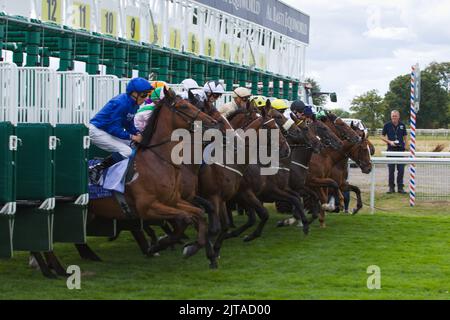 Jockeys und ihre Pferde verlassen die Starttore während der Al Basti Equiworld Dubai Gimcrack Stakes im Rahmen des Ebor Festival at York Races. Wi Stockfoto