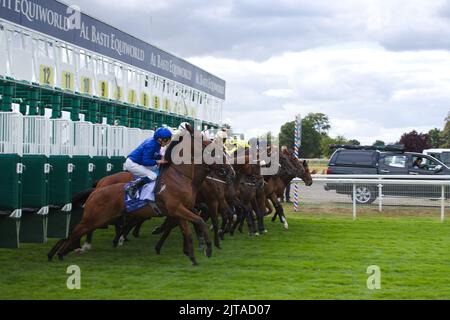 Jockeys und ihre Pferde verlassen die Starttore während der Al Basti Equiworld Dubai Gimcrack Stakes im Rahmen des Ebor Festival at York Races. Wi Stockfoto