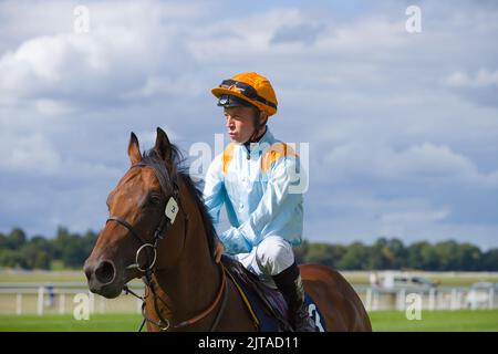 Jockey Ray Dawson im Clarendon House bei den York Races. Stockfoto