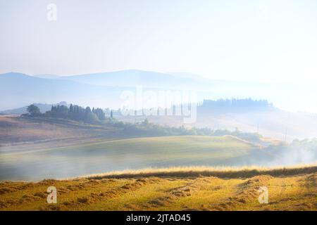 Beeindruckendes Panorama Italienische Landschaft, Blick mit Zypressen, Weinbergen und Bauernfeldern. Toskana, Italien Stockfoto