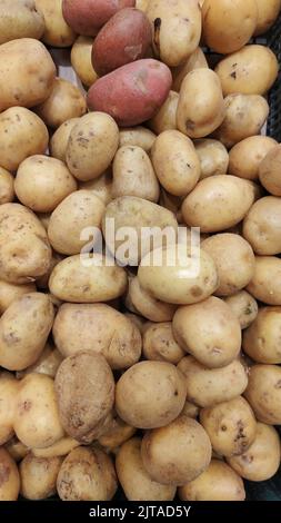 Großer Haufen Kartoffeln auf dem Markttisch. Hintergrund der Speisen. Kartoffelerntekonzept. Stockfoto