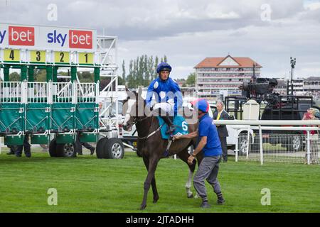 Jockey Duran Fentiman auf Bollin Joan vor einem Rennen auf der Pferderennbahn von York. Stockfoto