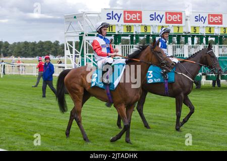 Jockeys Rossa Ryan bei State Occasion (links) und David Allan bei Myristica (rechts) vor dem Start eines Rennens auf der York Racecourse. Stockfoto