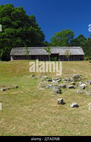 Fachwerk reetgedeckten Scheune aus 1550, National History Museum, St Fagans, Cardiff, Südwales, UK. Stockfoto