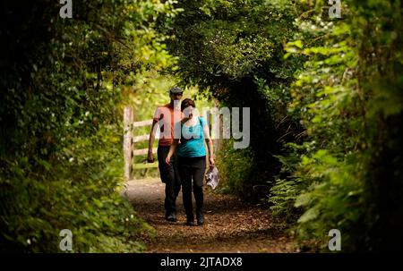 Im Glen Barrow Forrest in der Nähe von Portlaoise in Co Laois machen die Leute einen Spaziergang. Bilddatum: Montag, 29. August 2022. Stockfoto