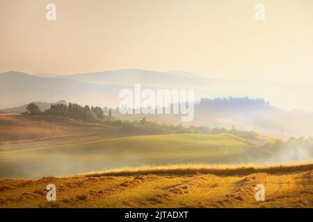 Beeindruckendes Panorama Italienische Landschaft, Blick mit Zypressen, Weinbergen und Bauernfeldern. Toskana, Italien Stockfoto