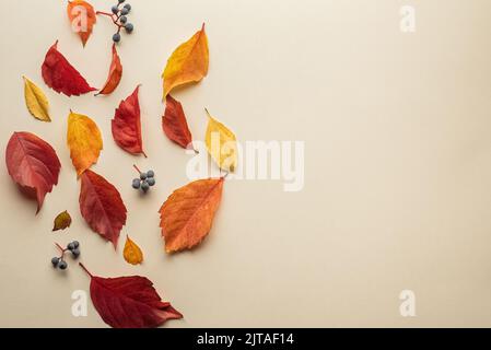 Vereinzelte Herbstblätter. Bunte Herbstblätter fallen isoliert auf weichem gelben Hintergrund Stockfoto