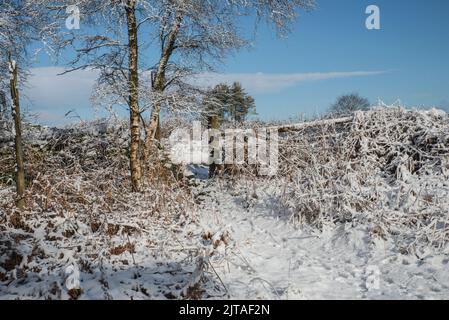 Ein schneebedeckter Fußweg auf dem Land in der Nähe von Matlock, Derbyshire, England Stockfoto