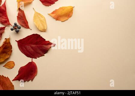 Herbst saisonaler Hintergrund mit fallenden Herbstblättern. Draufsicht und Platz zum Kopieren von Text Stockfoto