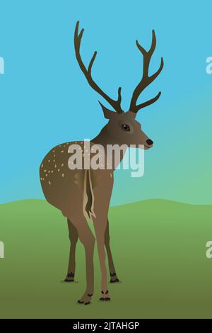 Eine Vektordarstellung eines Hirsches auf dem Feld. Du siehst das Tier von hinten und es schaut dich nach hinten an. Es ist ein männlicher Hirsch mit Geweih. Er ist da Stock Vektor