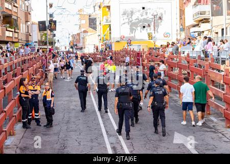 Lauf der Bullen. Bullen. Bull rennt. Encierro, das in der Stadt San Sebastian de los Reyes in Madrid gefeiert wird. Letzte Route neben dem Stier Stockfoto