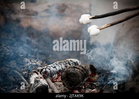 Rösten von Salmmillchen auf einem Stock über einem Lagerfeuer Stockfoto