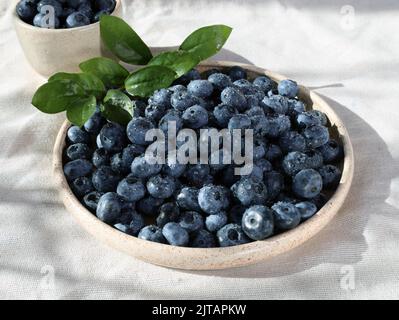 Heidelbeeren auf einem Teller, hartes Licht. Frische Heidelbeeren mit Wassertropfen. Blaue Beeren auf einem Teller auf der Tischdecke. Stockfoto