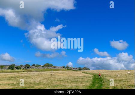 Fußweg über Farleton fiel in der Nähe von Milnthorpe in Cumbria Stockfoto