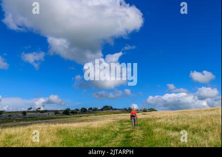 Fußweg über Farleton fiel in der Nähe von Milnthorpe in Cumbria Stockfoto