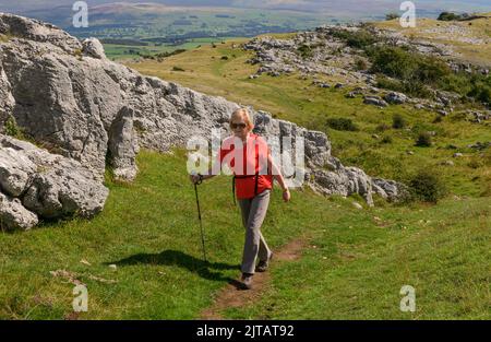 Vorbei an den gekippten Kalksteinpflastern am Farleton Knott bei Milthorpe in Cumbria Stockfoto