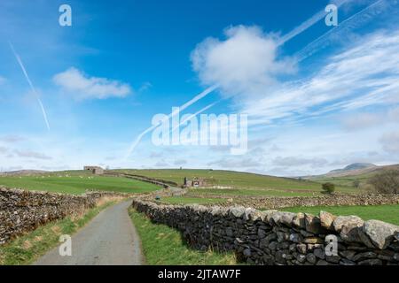 Blick auf eine Landstraße mit alten Steinscheunen, Trockenmauern und dem Berg Pen-y-gent in der Ferne, Yorkshire Dales National Park, North Yor Stockfoto