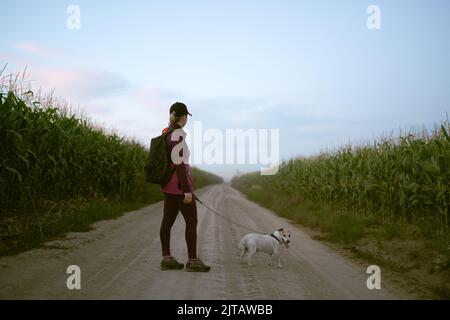 Mädchen und Hund, die abends auf der Landstraße im Kornfeld spazieren Stockfoto