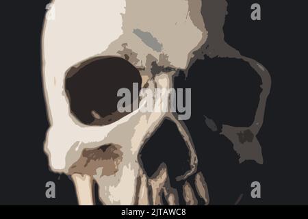 Obskure weiß-graue Abbildung des menschlichen Schädels auf schwarzem Hintergrund. Verschiedene Schwarz-Weiß-Schattierungen, die in der Grafik verwendet werden. Konzept der menschlichen Anatomie. . Hochwertige Fotos Stockfoto