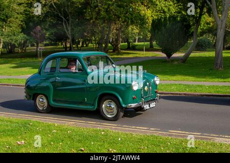 1959 50s fünfziger Jahre Green AUSTIN Ein 35 948cc Benzin; Autos, die auf der jährlichen Stanley Park Classic Car Show in den Parkgärten ankommen. Stanley Park Classics Yesteryear Motor Show, veranstaltet von Blackpool Vintage Vehicle Preservation Group, Großbritannien. Stockfoto