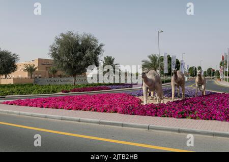 Dubai, Vereinigte Arabische Emirate, Haupteingang des Al Murmoom Camel Racing Club. Stockfoto