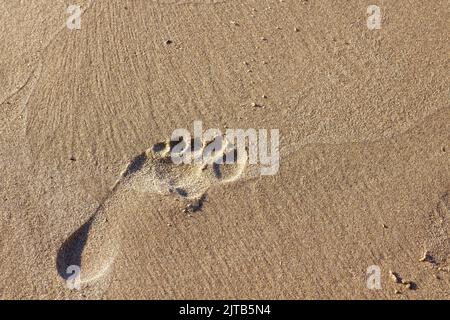 Nahaufnahme des menschlichen Fußabdrucks am Sandstrand. Copyspace. Stockfoto