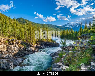 Schafe Fluss fällt in den Rocky Mountains, der Südwesten Alberta Stockfoto